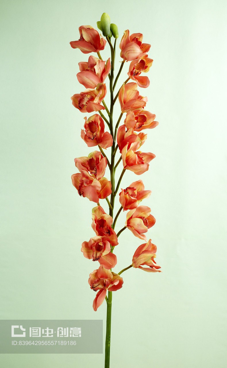 美丽的仿真花插花艺术,兰花